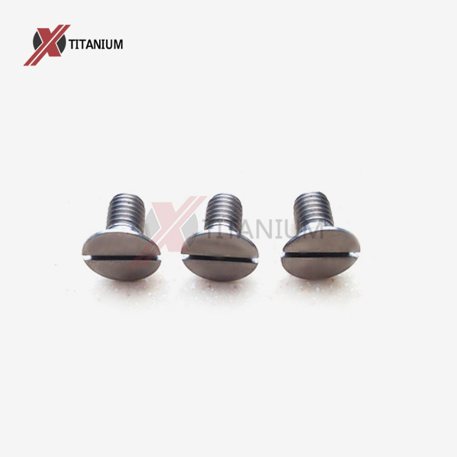 Titanium Slotted Countersunk Screw