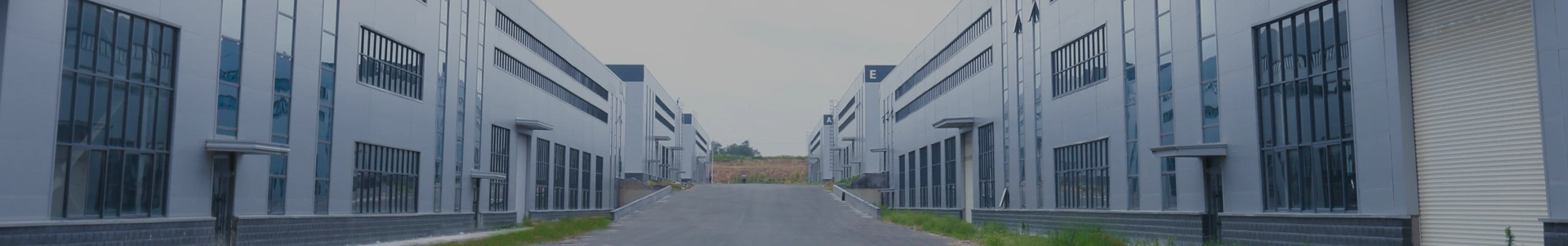 bandiera